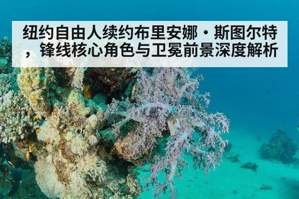 纽约自由人续约布里安娜·斯图尔特,锋线核心角色与卫冕前景深度解析