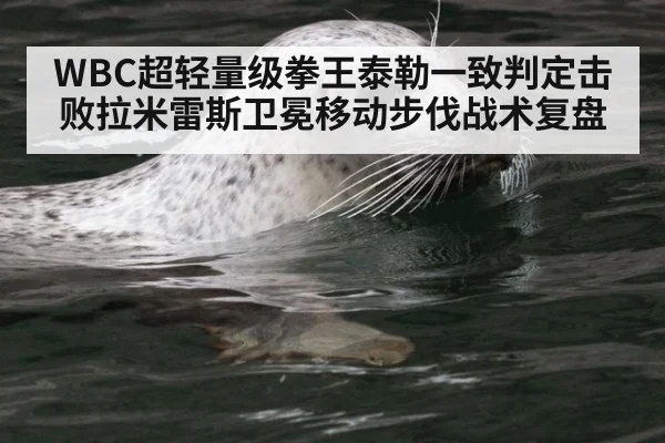 WBC超轻量级拳王泰勒一致判定击败拉米雷斯卫冕移动步伐战术复盘